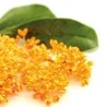 Deodorante Concentrato Ambienti Aires Osmanthus 750 ml INTERCHEM