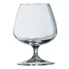Calice Brandy Cognac Panciuto Degustation 41 cl ARCOROC