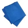 Panno Microfibra Ap Blu Pz.1 40x40 DT