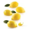 Stampo Silicone Limone30 N°15 Limoni 55x38h27+cutt SILIKOMART