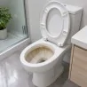 Jenial Disincrostante WC 1 lt KLINFOR