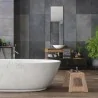 Sanificante +30 Bathroom 750 ml INTERCHEM