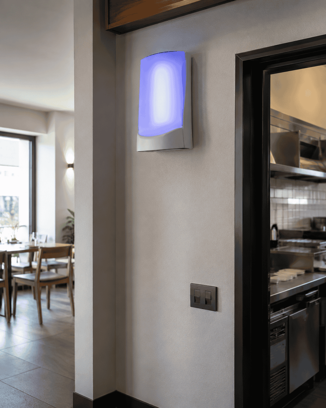 Trappola luminosa per insetti a parete in un ristorante