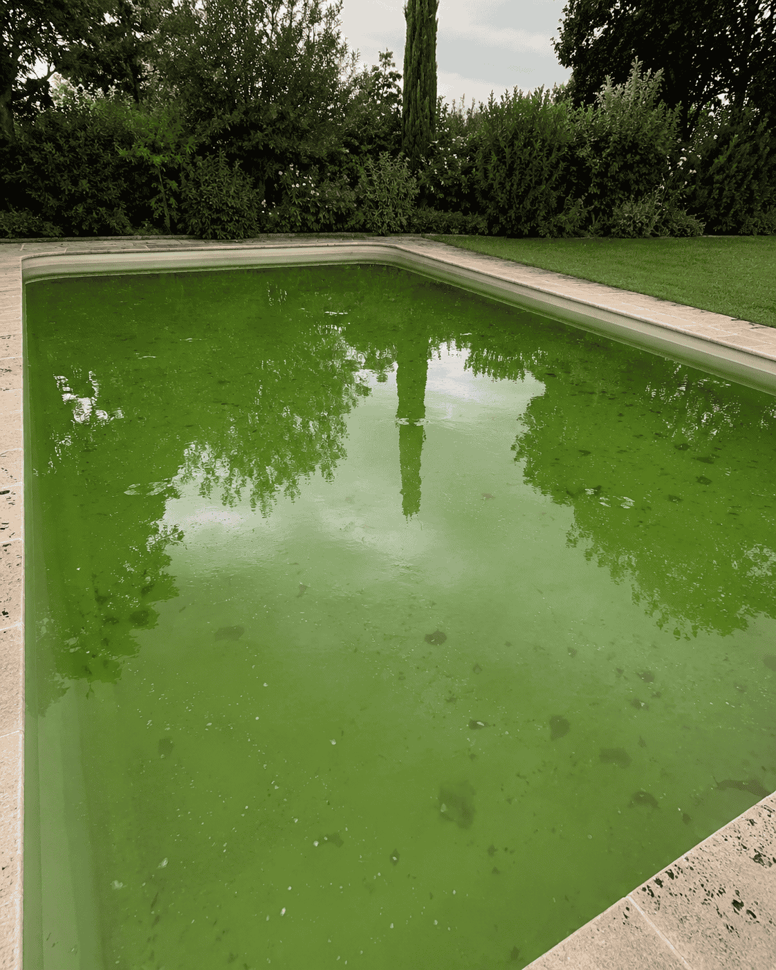 Piscina con acqua verde per la proliferazione di alghe