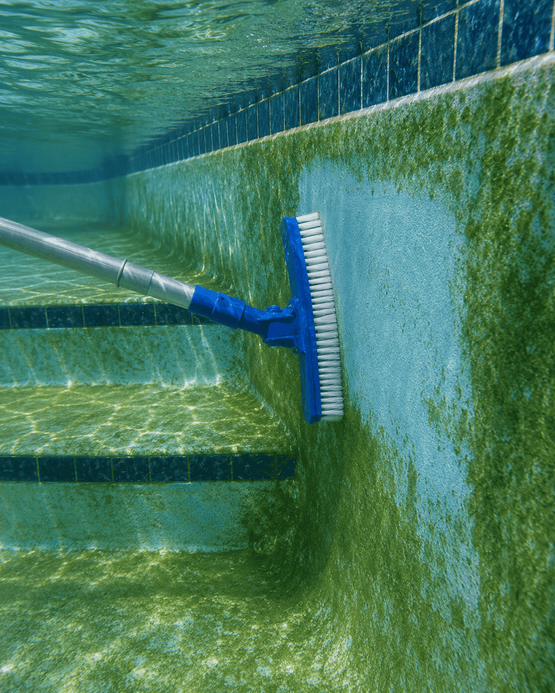 Spazzolatura delle pareti della piscina con patina di alghe