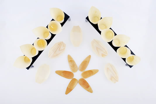 Cono per Frittura in Bamboo Biodegradabile